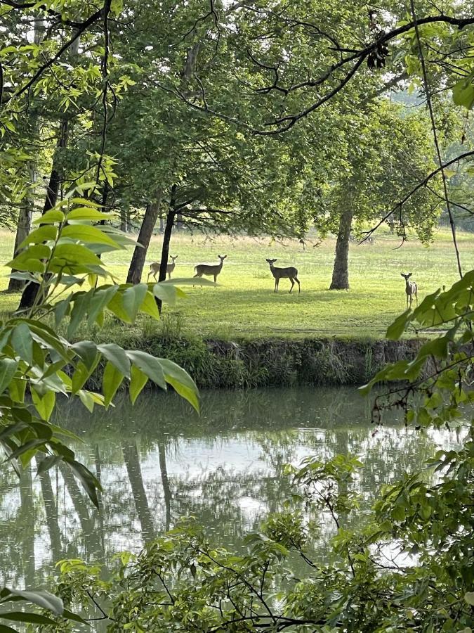 Htr Tx Hill Country Campground Kerrville Zewnętrze zdjęcie